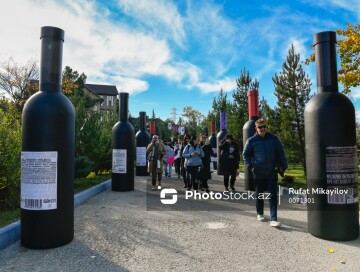 Энотуризм может стать одним из драйверов отечественной индустрии